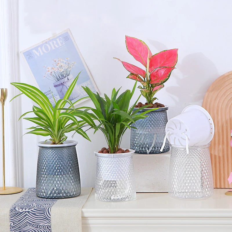 Self-Watering Transparent Planter – Hydroponic Flower Pot Self-Watering Planter Axl
