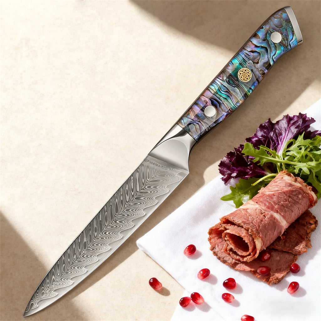 67-Layer Damascus Steel Chef's Knife – Sharp Kitchen Knife Damascus Kitchen Knife Axl