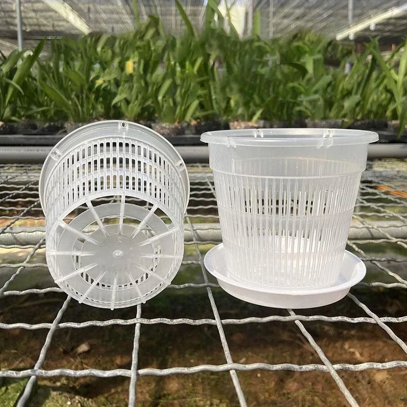 Transparent Mesh Orchid Pot 11/14cm | Breathable Plastic Flower Pot Mesh Orchid Pot Axl