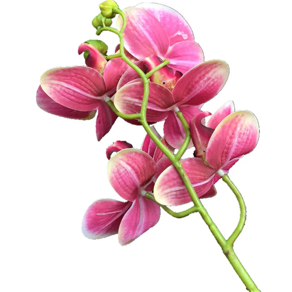 5-Head Real Touch Artificial Phalaenopsis Orchid Branch | 68cm Artificial Flower Branch Axl