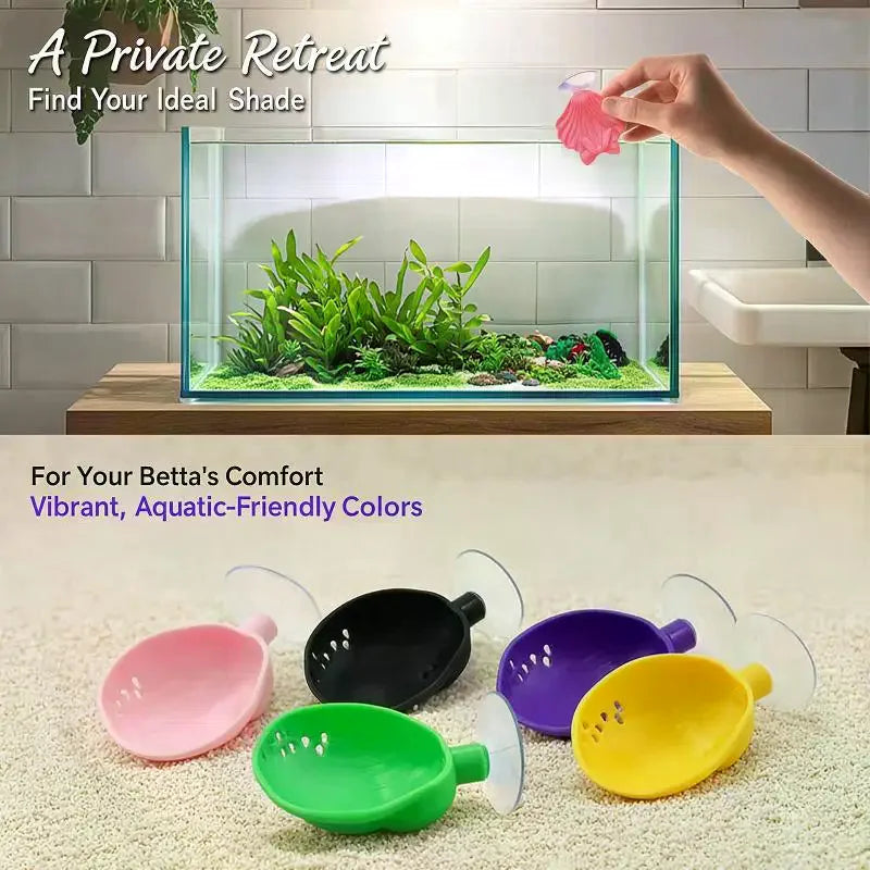 Shell-Shaped Betta Feeding Dish with Suction Cup | Fish Tank Aquarium Feeding Dish Axl