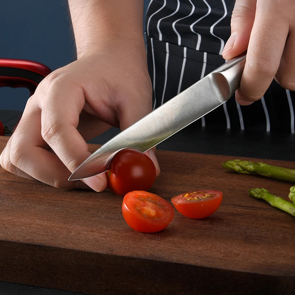 5-Piece Stainless Steel Kitchen Knife Set – All-Purpose Kitchen Knife Set Axl