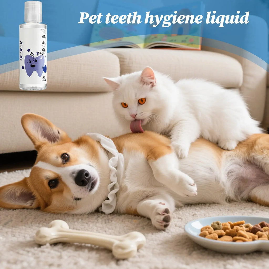 Dog & Cat Dental Water Additive 200ml – Plaque & Breath Care Pet Dental Additive Axl