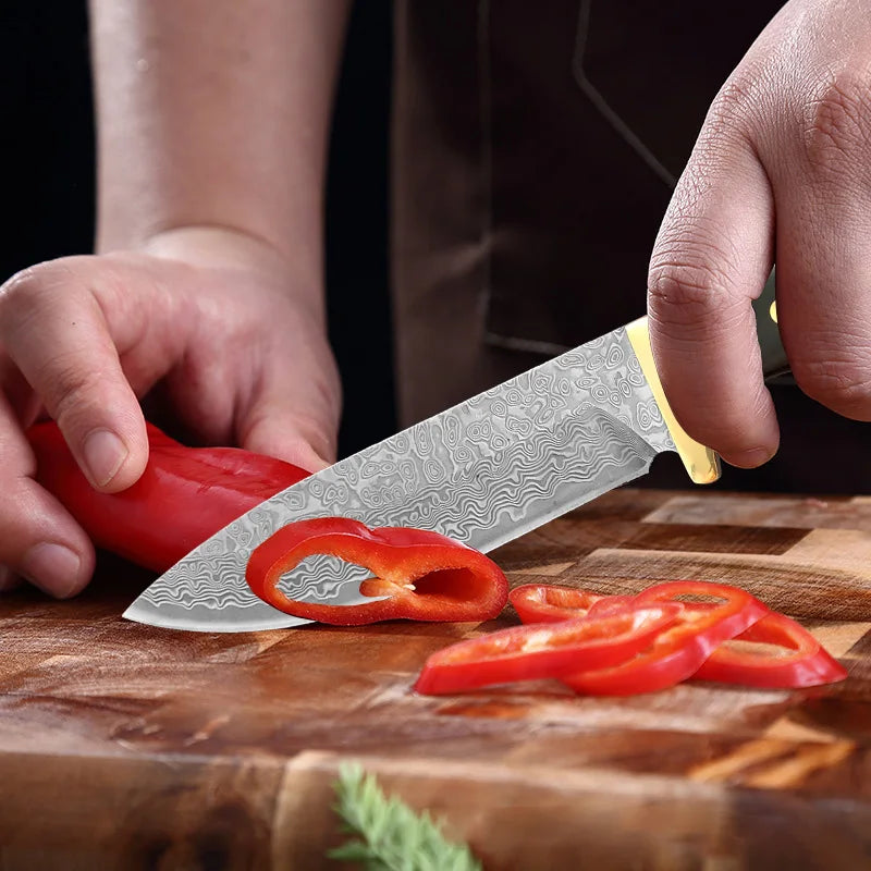 VG10 Damascus Kitchen Knife – Ebony Handle | 10.2" Blade Damascus Kitchen Knife Axl