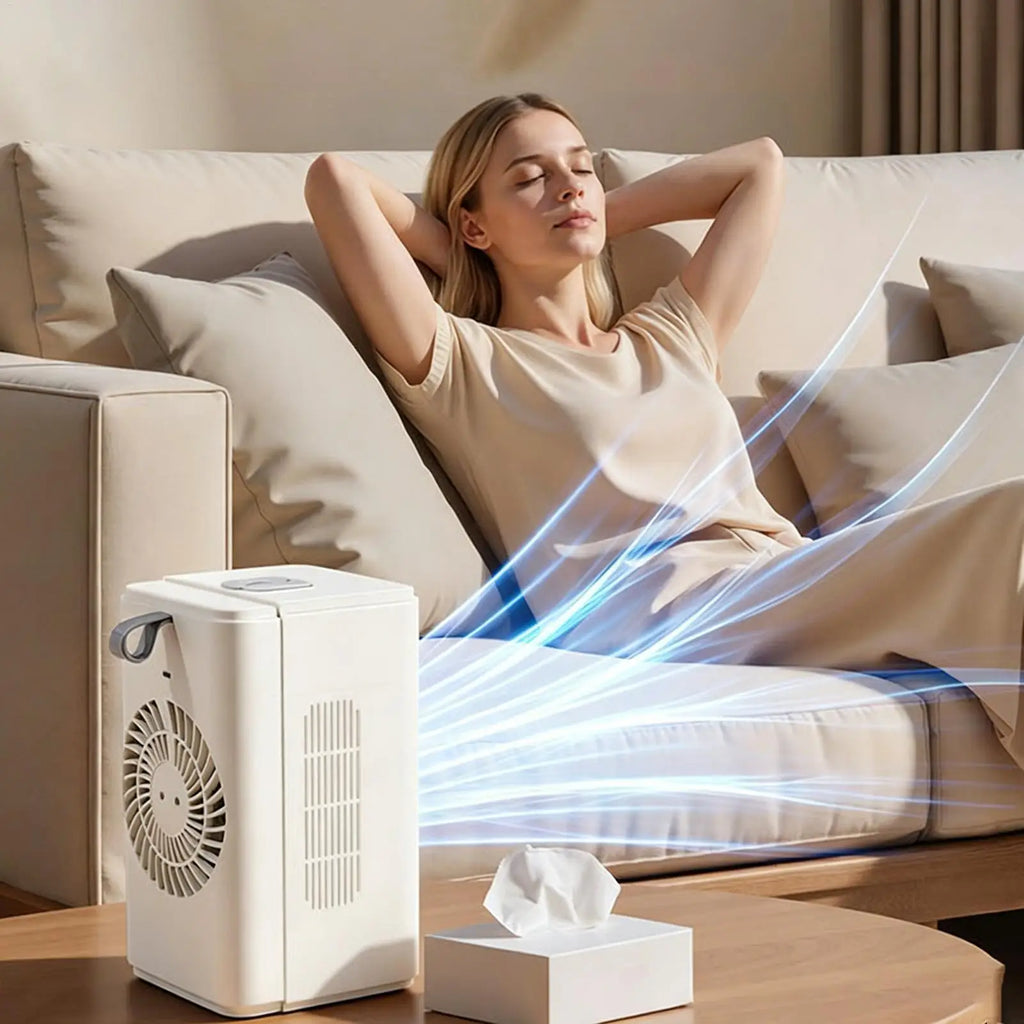 Rechargeable Misting Desk Fan – 2-Speed, Time Display, 500ml Misting Desk Fan Axl