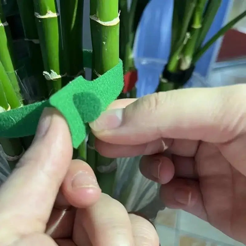 Reusable Nylon Plant Ties Hook Loop – 50/100/200 Pcs Garden Garden Plant Ties Axl