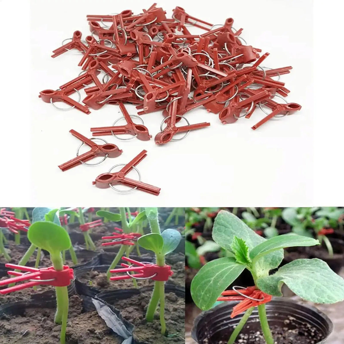50-Pack Plant Grafting Clips – ABS Vegetable & Melon Clamps Plant Grafting Clips Axl