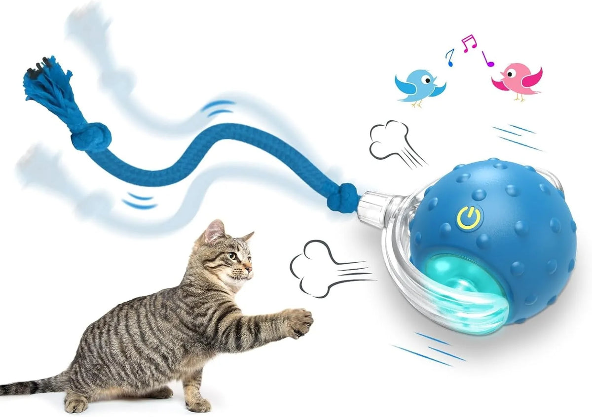 Motion-Activated Cat Ball Toy – Chirping, LED & Auto Rolling Interactive Cat Toy Axl Blue
