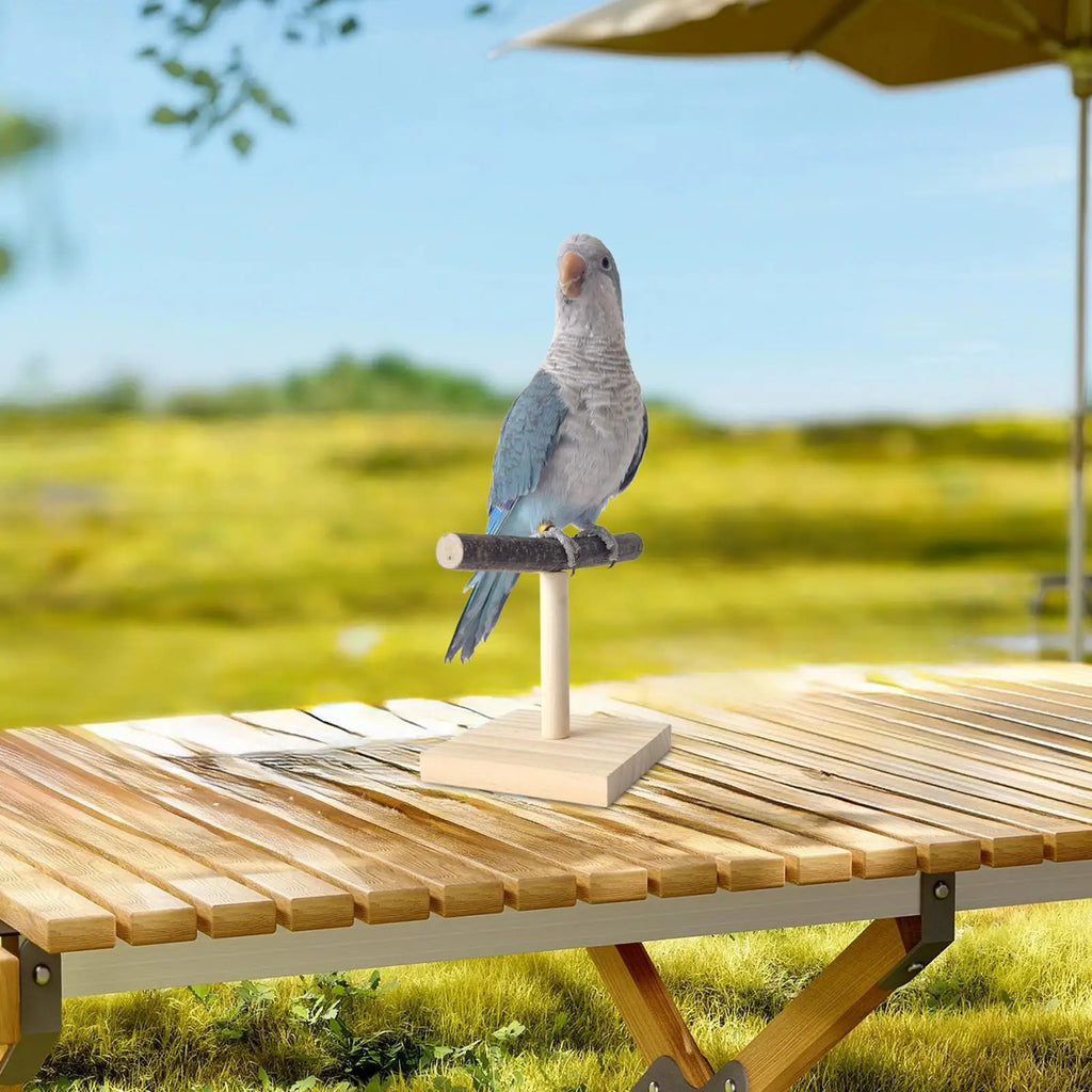 Natural Wood Parrot T Perch Stand – Bird Desktop Toy Bird Perch Stand Axl