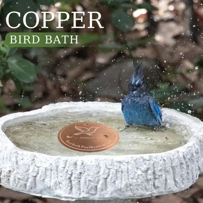 Pure Copper Bird Bath Purification Disk | Algae-Inhibiting Bird Bath Accessory Axl