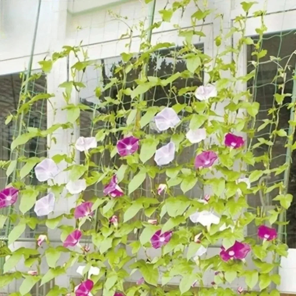 Plant Trellis Climbing Net – Plastic Garden Vine Support Mesh Garden Trellis Net Axl