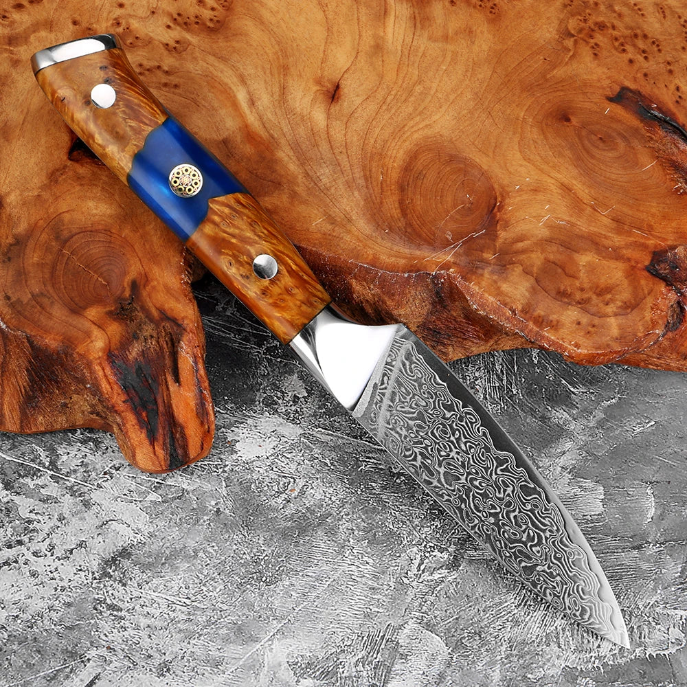 XITUO 3.5" Damascus Steel Paring Knife – Sharp Full Tang Paring Knife Axl