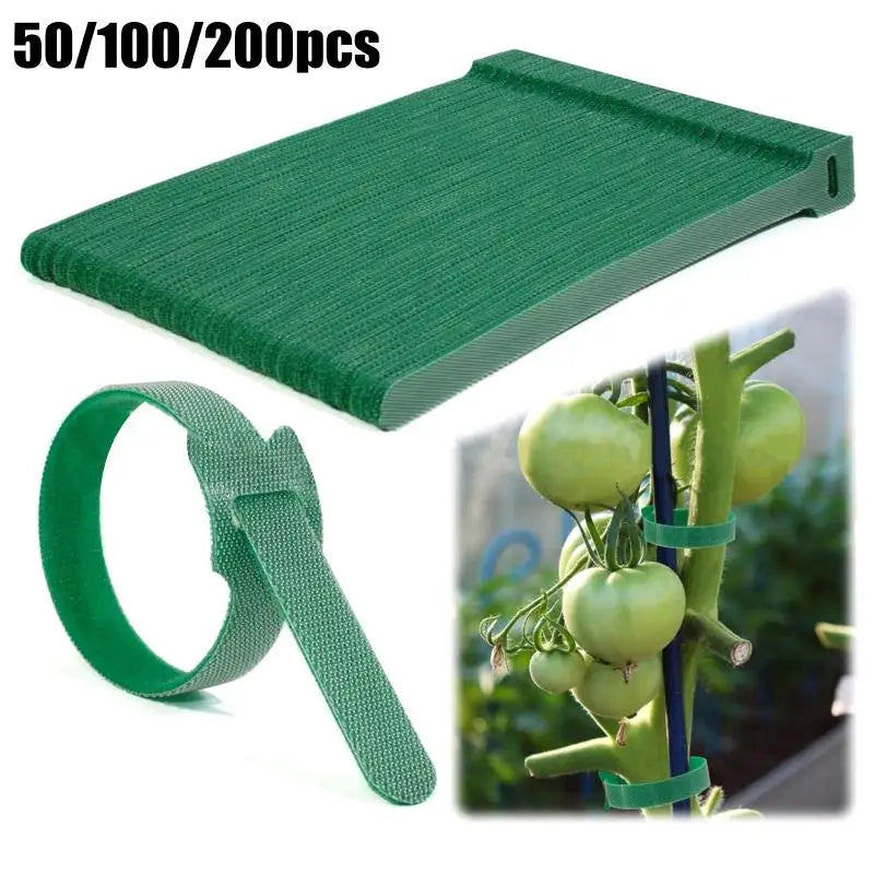 Reusable Nylon Plant Ties Hook Loop – 50/100/200 Pcs Garden Garden Plant Ties Axl