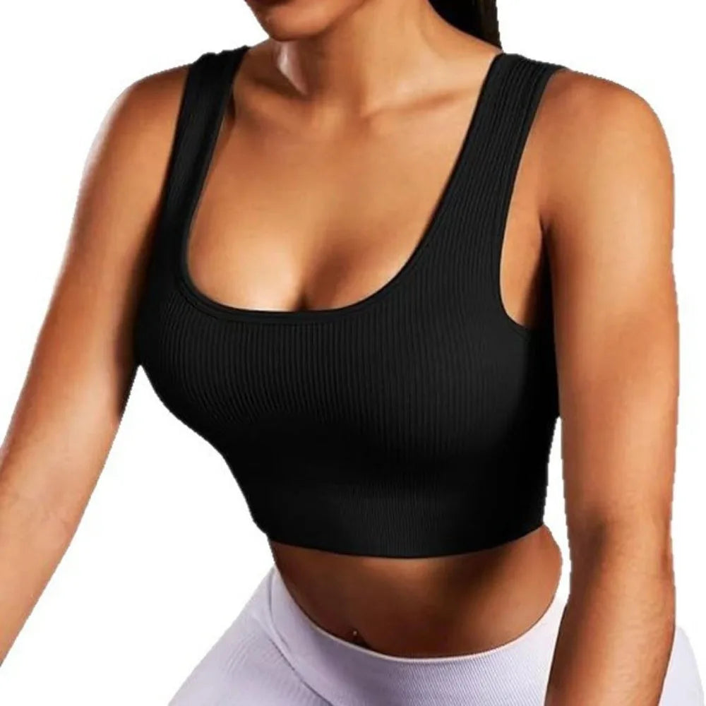 Seamless Sports Bra – Breathable Moisture-Wicking Yoga Bra Sports Bra Axl