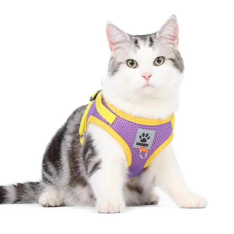 Vest Style Pet Harness & Leash Set – Reflective Mesh, Escape-Proof Pet Harness Set Axl