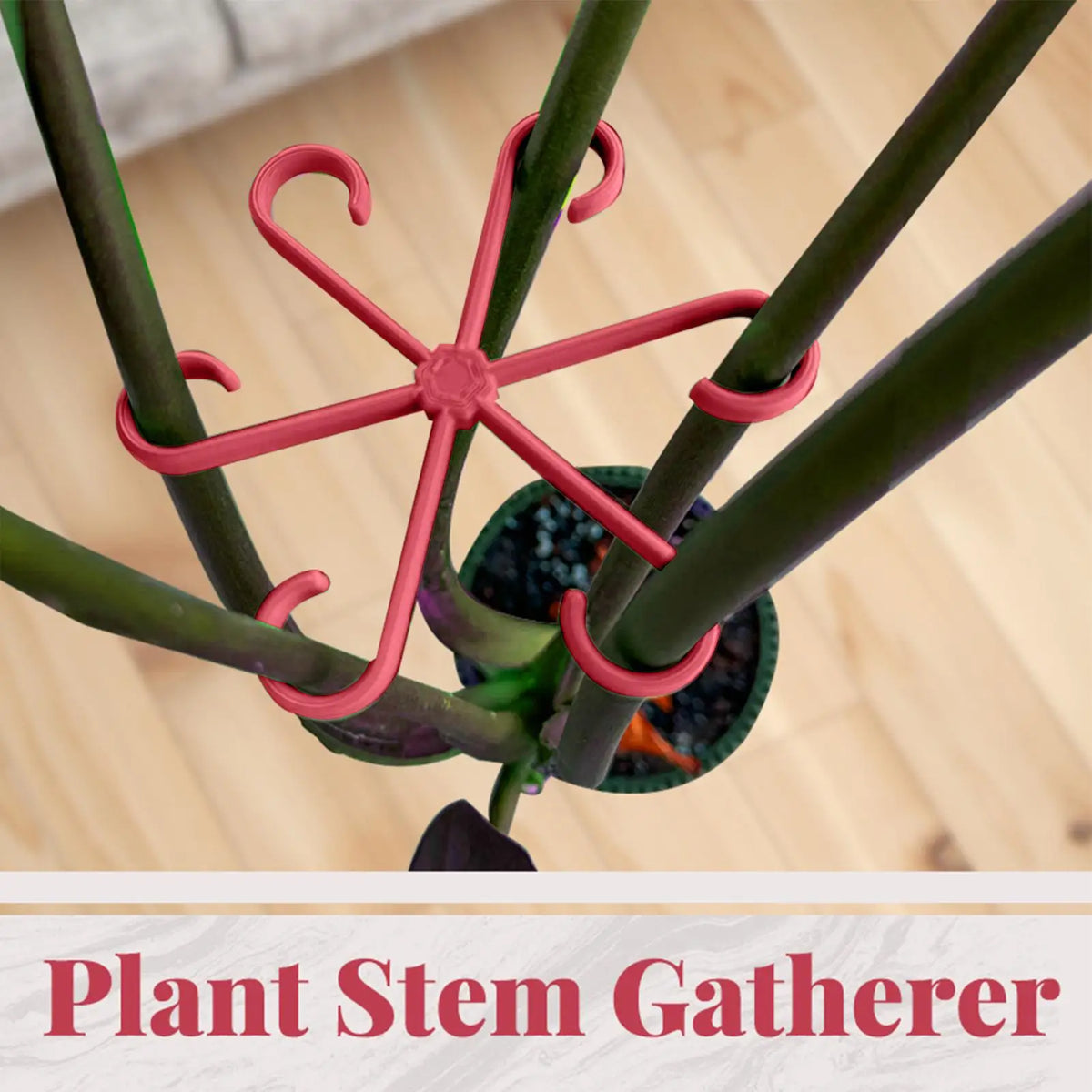 4-Piece Adjustable Plant Support Clips for Climbing Stems Plant Support Clips Axl
