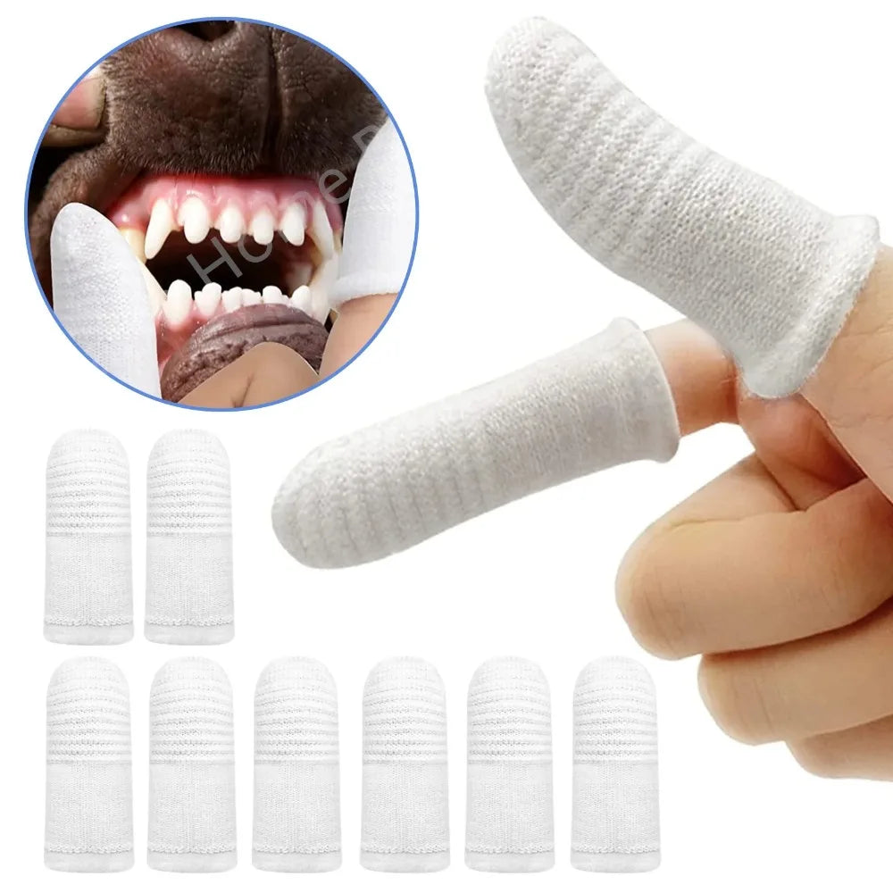 Pet Finger Toothbrush Wipes for Cats & Dogs – 2/6/12 Pack Pet Dental Wipes Axl