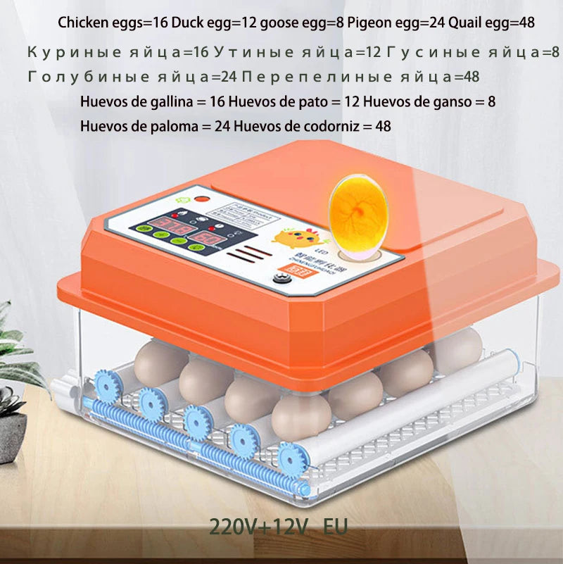 16-Egg Digital Automatic Egg Incubator with Auto Turner Egg Incubator Axl 16 EU Plug China Mainland