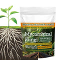 100g Plant Growth Enhancer Powder – Hydroponics & Soil Plant Fertilizer Powder Axl 100g