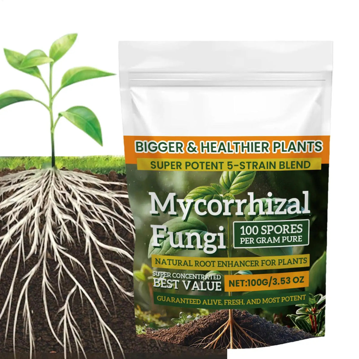 100g Plant Growth Enhancer Powder – Hydroponics & Soil Plant Fertilizer Powder Axl 100g