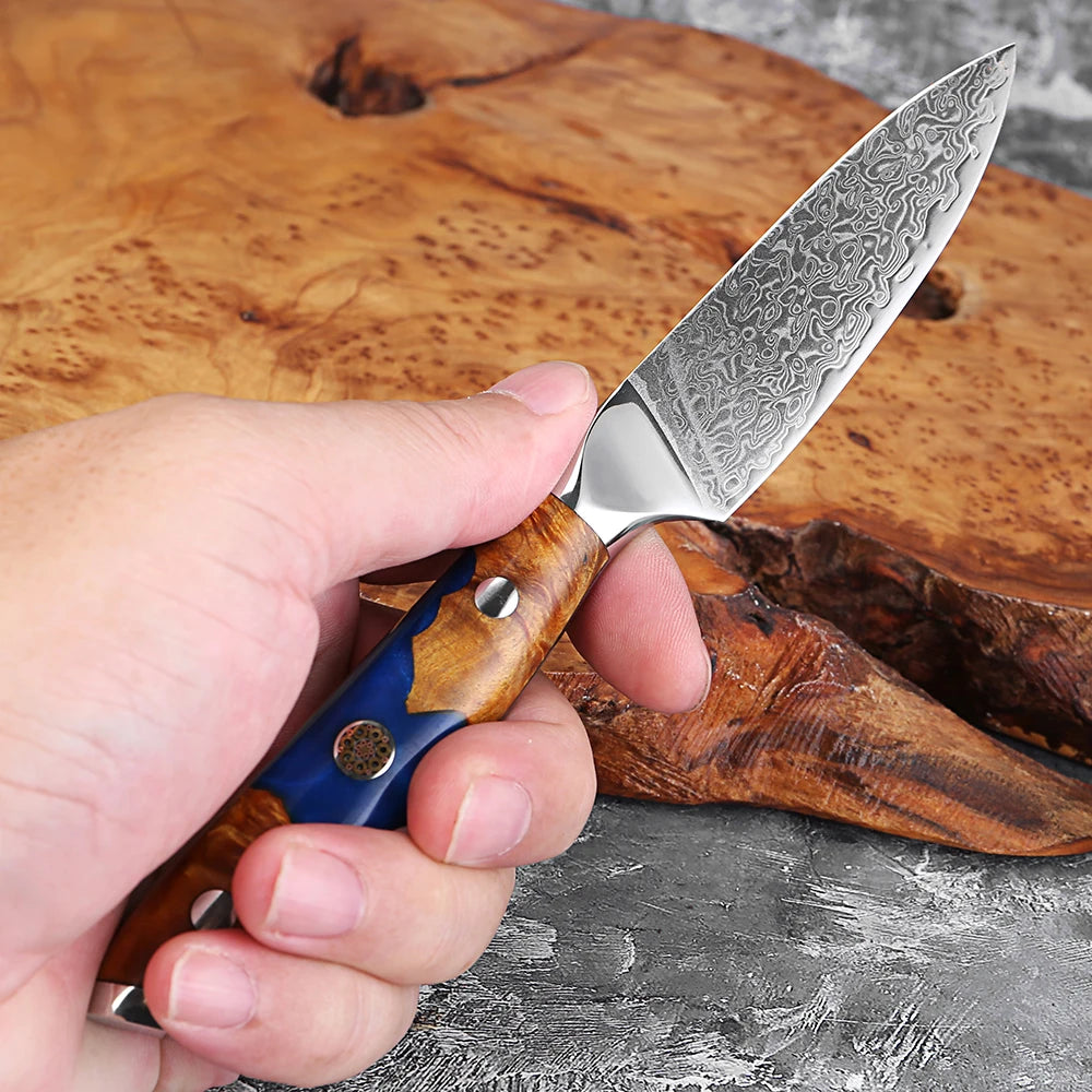 XITUO 3.5" Damascus Steel Paring Knife – Sharp Full Tang Paring Knife Axl
