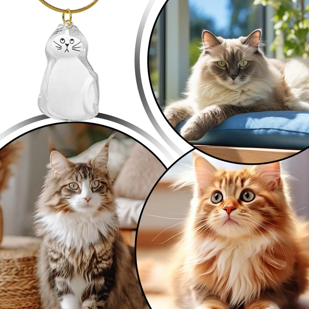 Cat Hair Storage Pendant – Keepsake Charm for Bag & Wallet Pet Keepsake Charm Axl