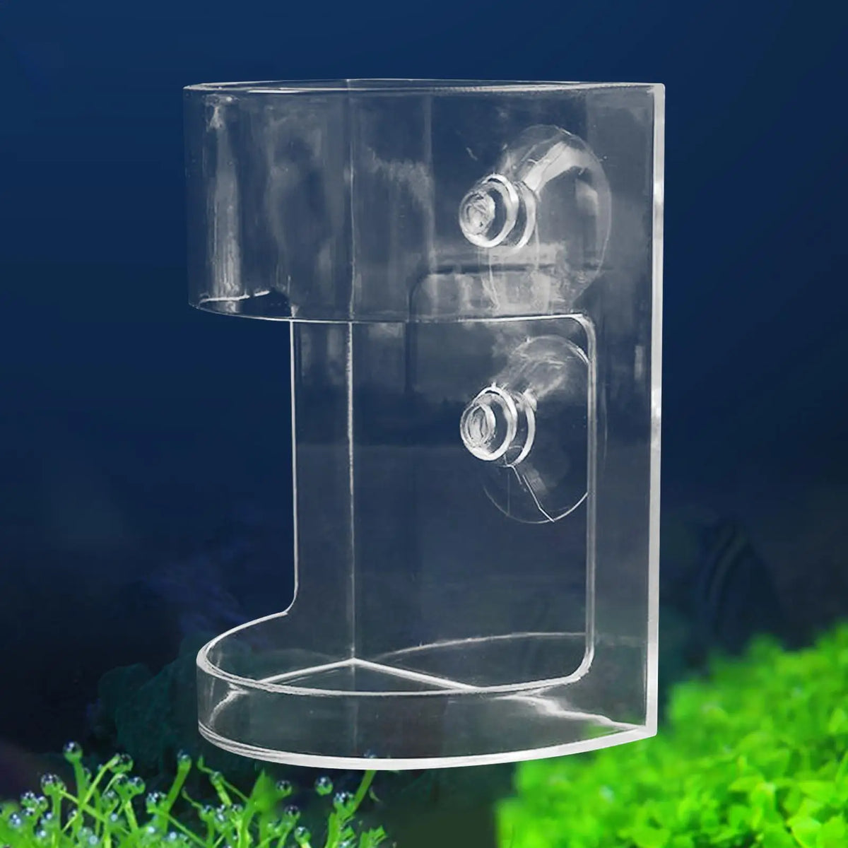 Large Capacity Shrimp Feeding Dish | Clear Aquarium Fish Feeder Aquarium Fish Feeder Axl