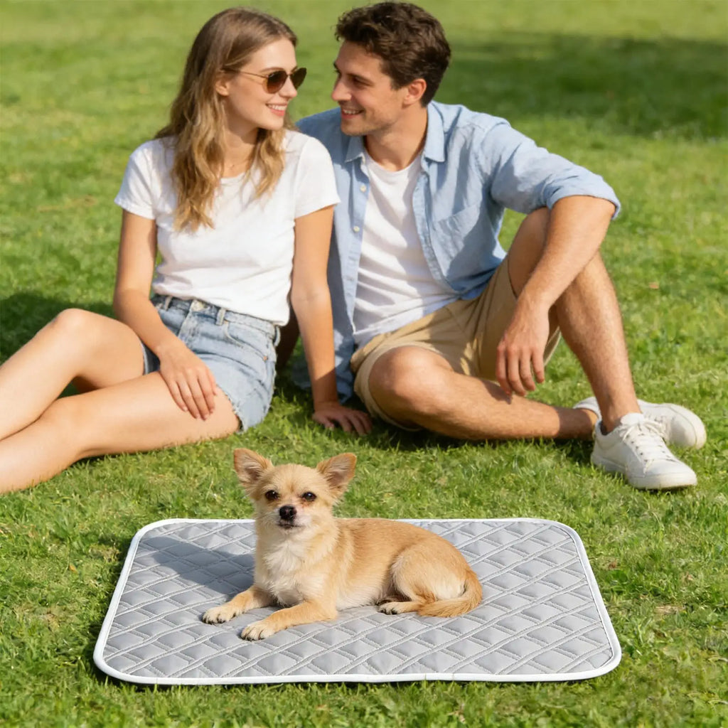 Self-Cooling Pet Mat for Dogs & Cats – 45×35cm Washable Pad Pet Cooling Mat Axl