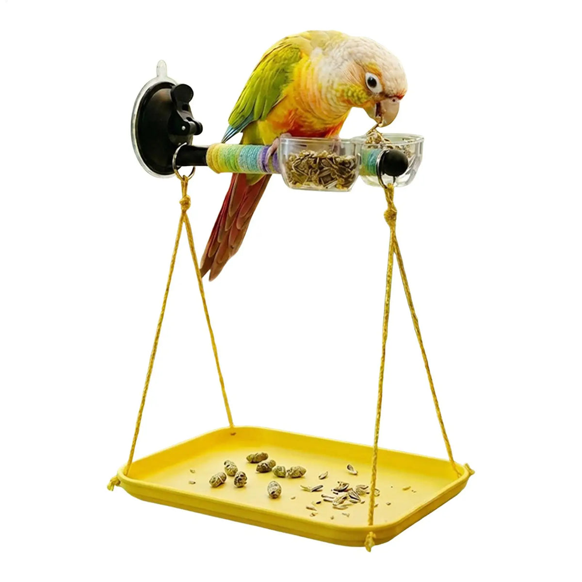 Window Bird Perch with Suction Cup & Droppings Tray | Parrot Perch Bird Window Perch Axl