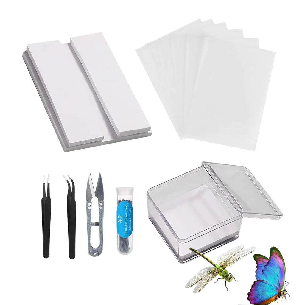 DIY Butterfly Specimen Kit – Insect Pin Wing Board Display Set Specimen Display Kit Axl