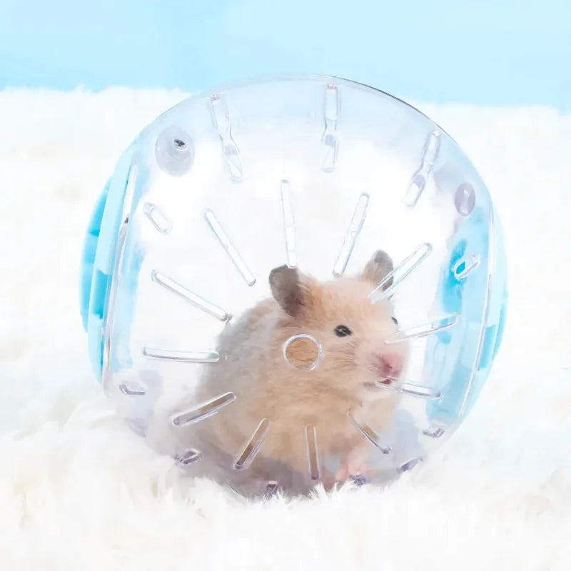 Hamster Exercise Ball – Transparent Running Ball for Small Pets Small Pet Exercise Ball Axl