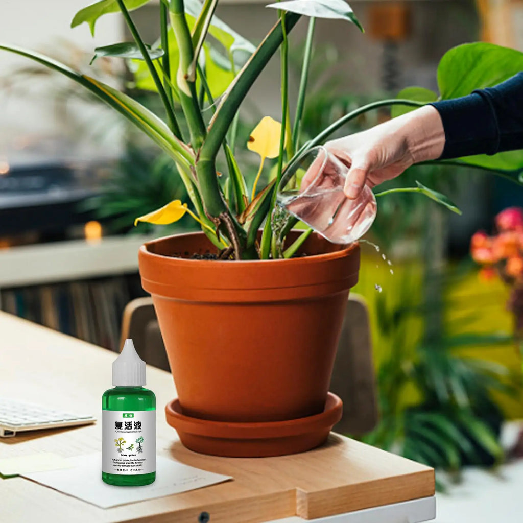 Plant Nutrient Solution 50ml – Organic Liquid Fertilizer for Plants Liquid Plant Fertilizer Axl