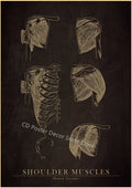 Vintage Anatomy Chalkboard Poster – Skull & Skeleton Wall Art Wall Art Poster Axl 7 A4 8.3x11.8inch