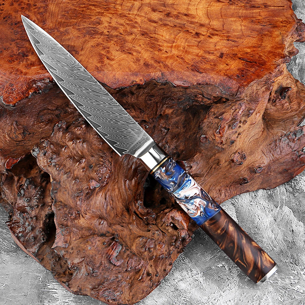 XITUO 5-Inch Damascus Steel Utility Knife – Sharp Resin Handle Damascus Kitchen Knife Axl