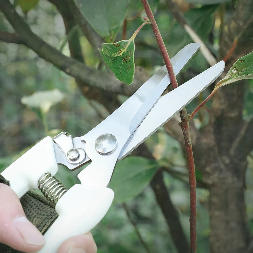SHENJIU Pruning Scissors – Professional Bonsai & Garden Trimmer Pruning Scissors Axl