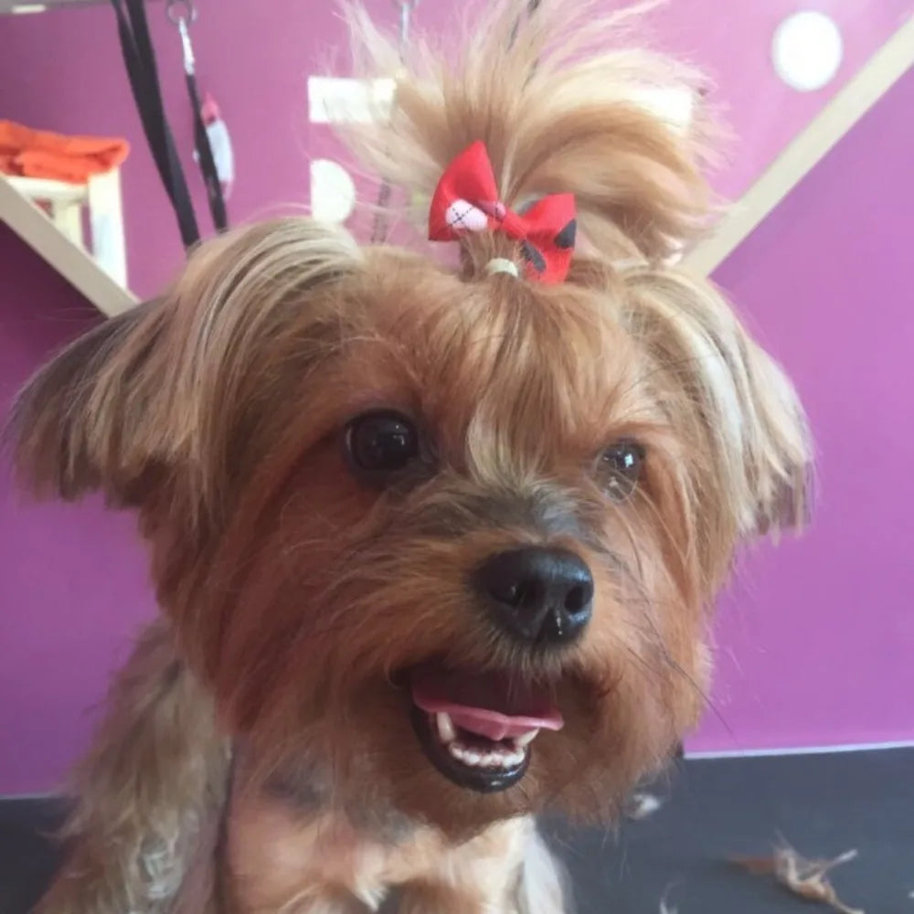 10-Pack Cute Puppy Bow Hair Accessories for Dogs & Cats Pet Grooming Bows Axl