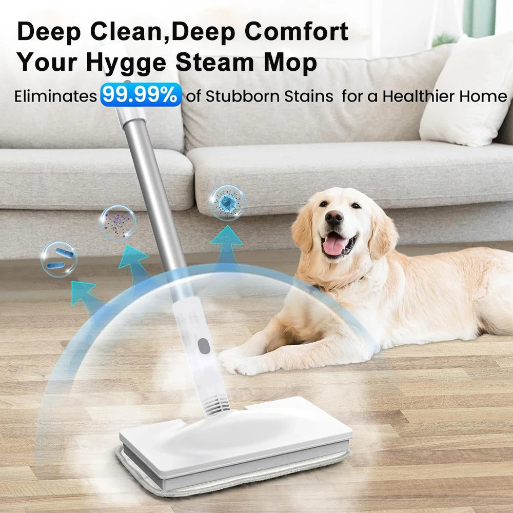 BALASHOV 1500W Multipurpose Steam Cleaner – Floors & Tiles Steam Cleaner Axl