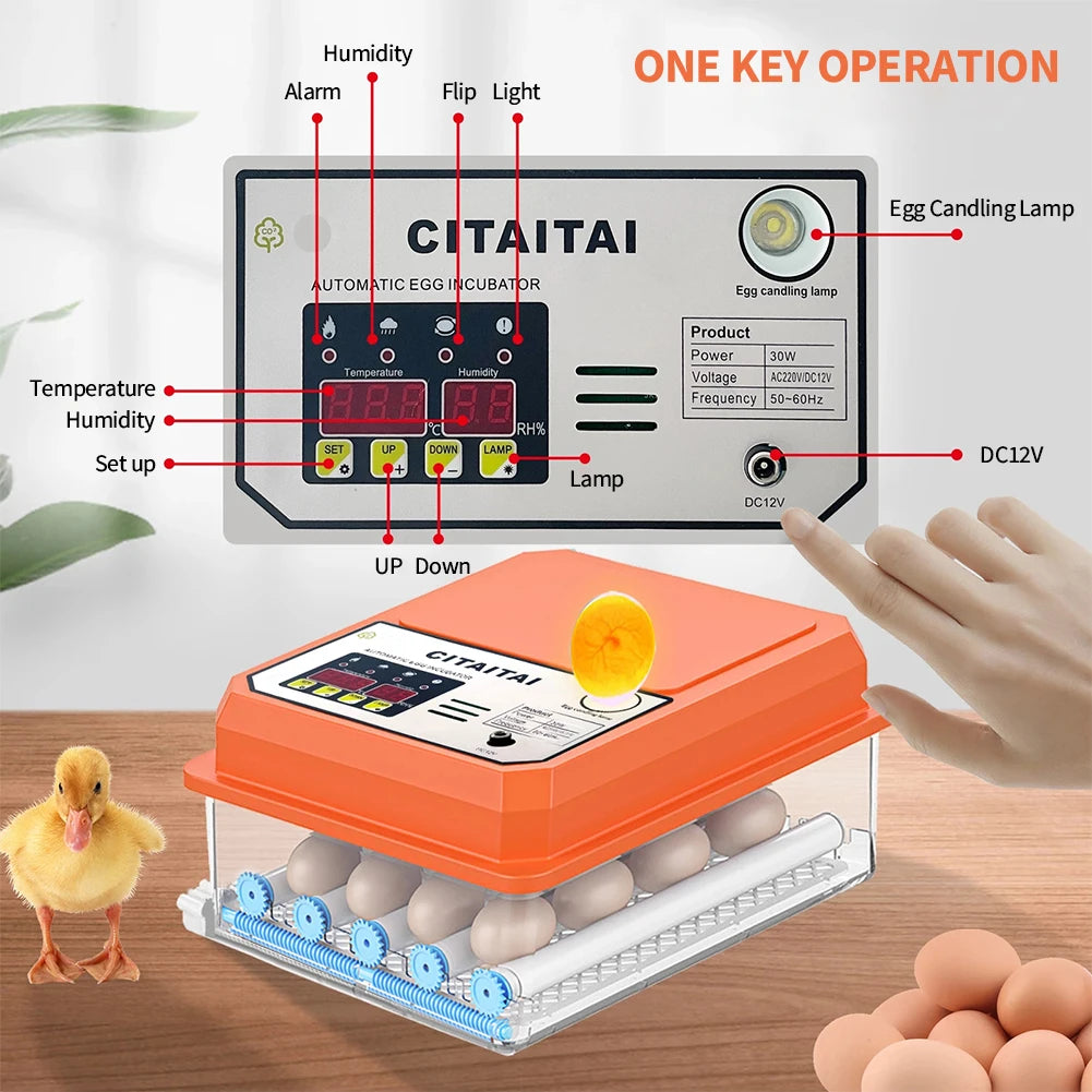 16-Egg Digital Automatic Egg Incubator with Auto Turner Egg Incubator Axl