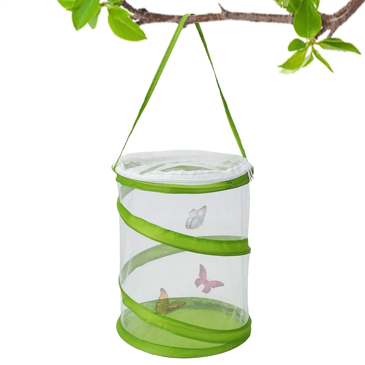 Foldable Butterfly Habitat Cage – Clear Mesh Caterpillar Enclosure Insect Habitat Cage Axl