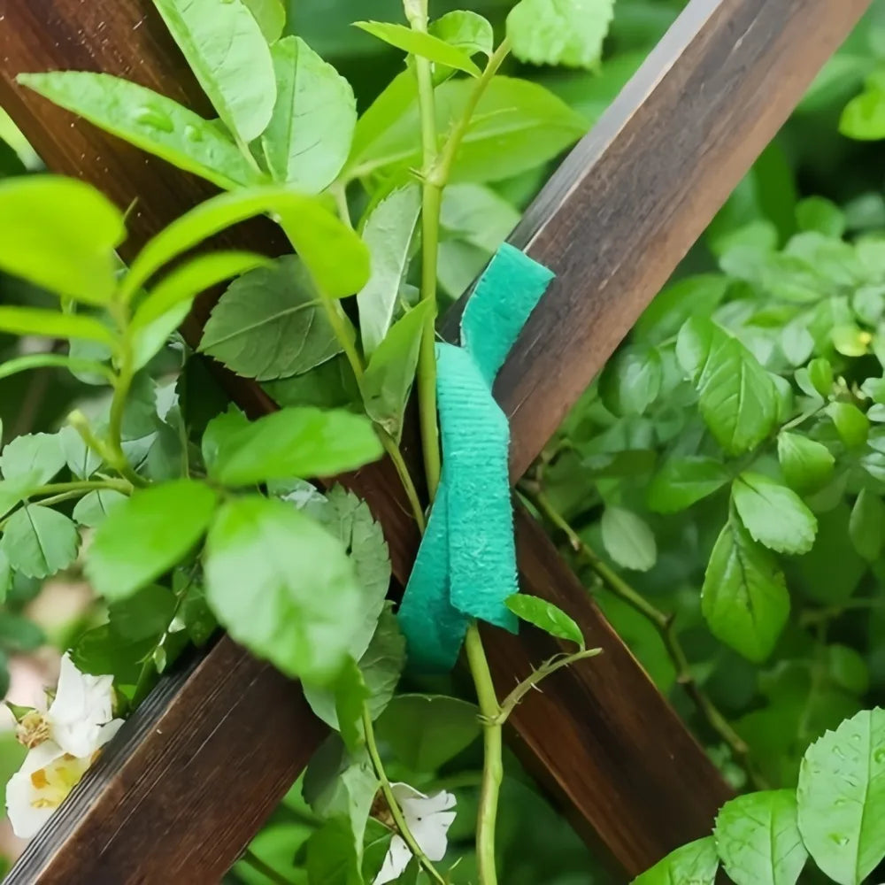 Reusable Plant Ties Hook & Loop Garden Tape 5M & 15M Roll Garden Plant Ties Axl