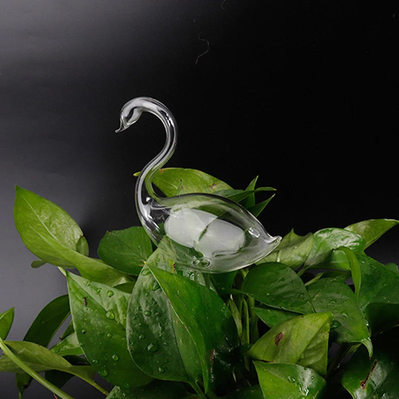 Glass Self-Watering Plant Feeder | Automatic Drip Irrigation Plant Watering Device Axl