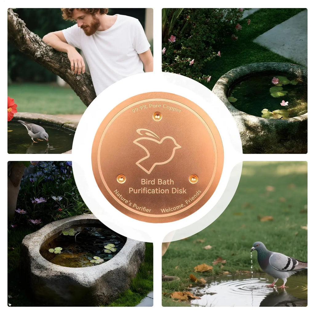 Copper Bird Bath Purifier Disc | Triple-Point Support Garden Bird Bath Accessory Axl