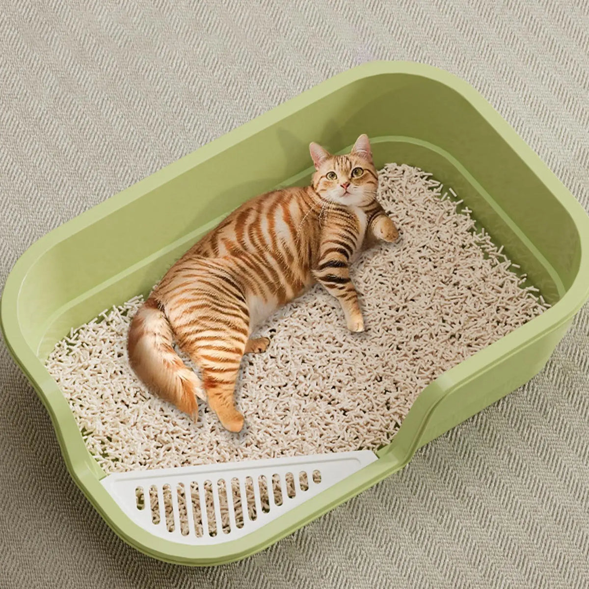 Large Anti-Splash Cat Litter Box with Scoop – Odor Control Cat Litter Box Axl