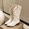 Women's Embroidered Western Cowboy Boots | Square Heel Pointed Toe Western Cowboy Boots Axl Beige 42