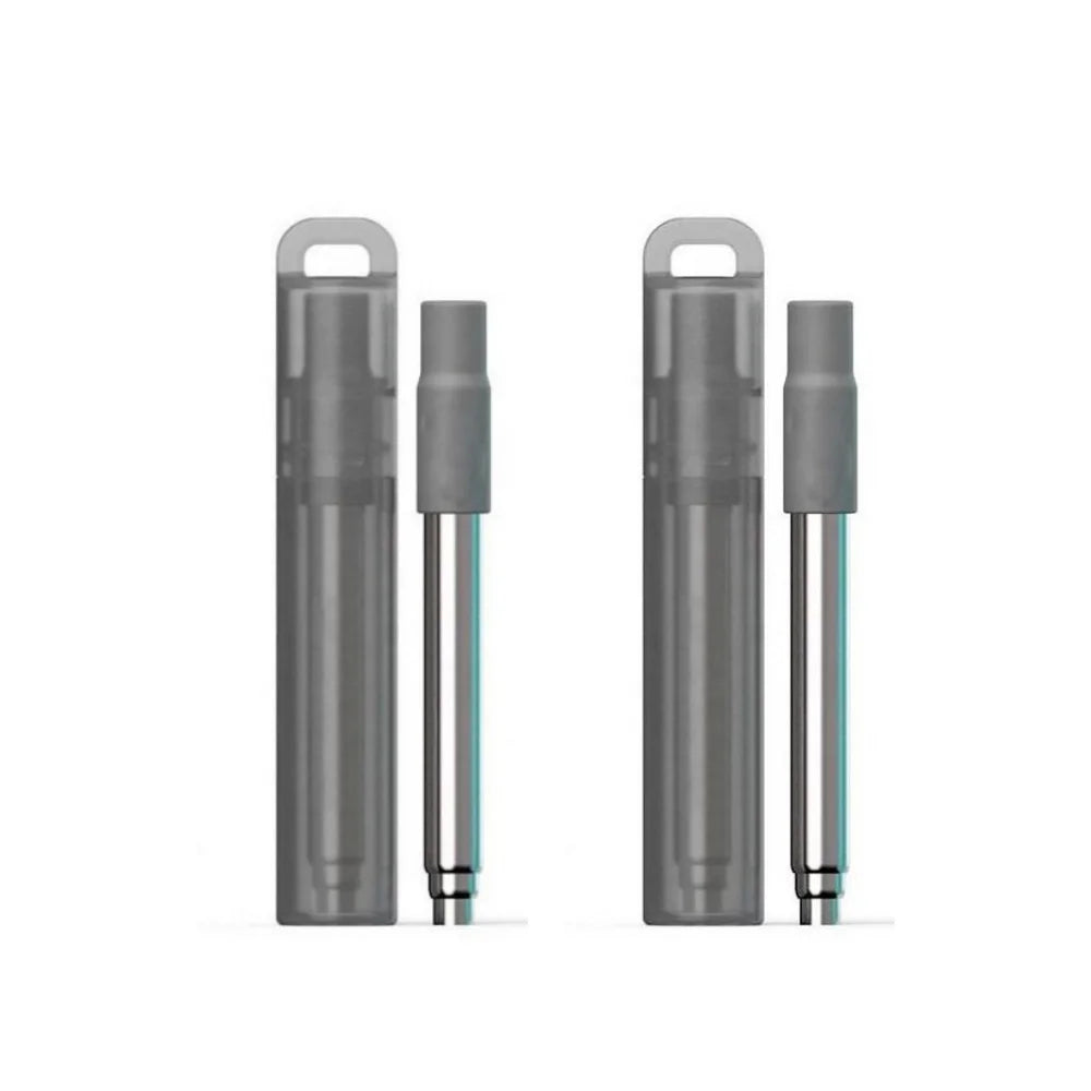 Collapsible Stainless Steel Travel Straws with Case & Brush Reusable Travel Straws Axl 2Pcs Gray