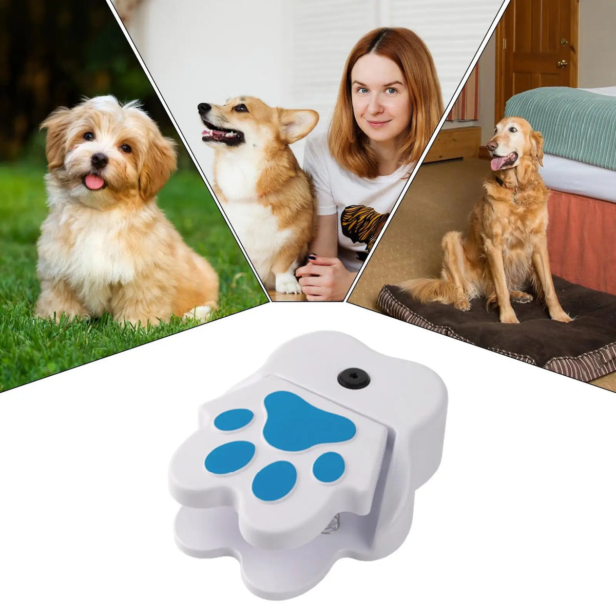 Step-On Dog Water Fountain – Interactive Claw Garden Sprinkler Dog Water Fountain Axl