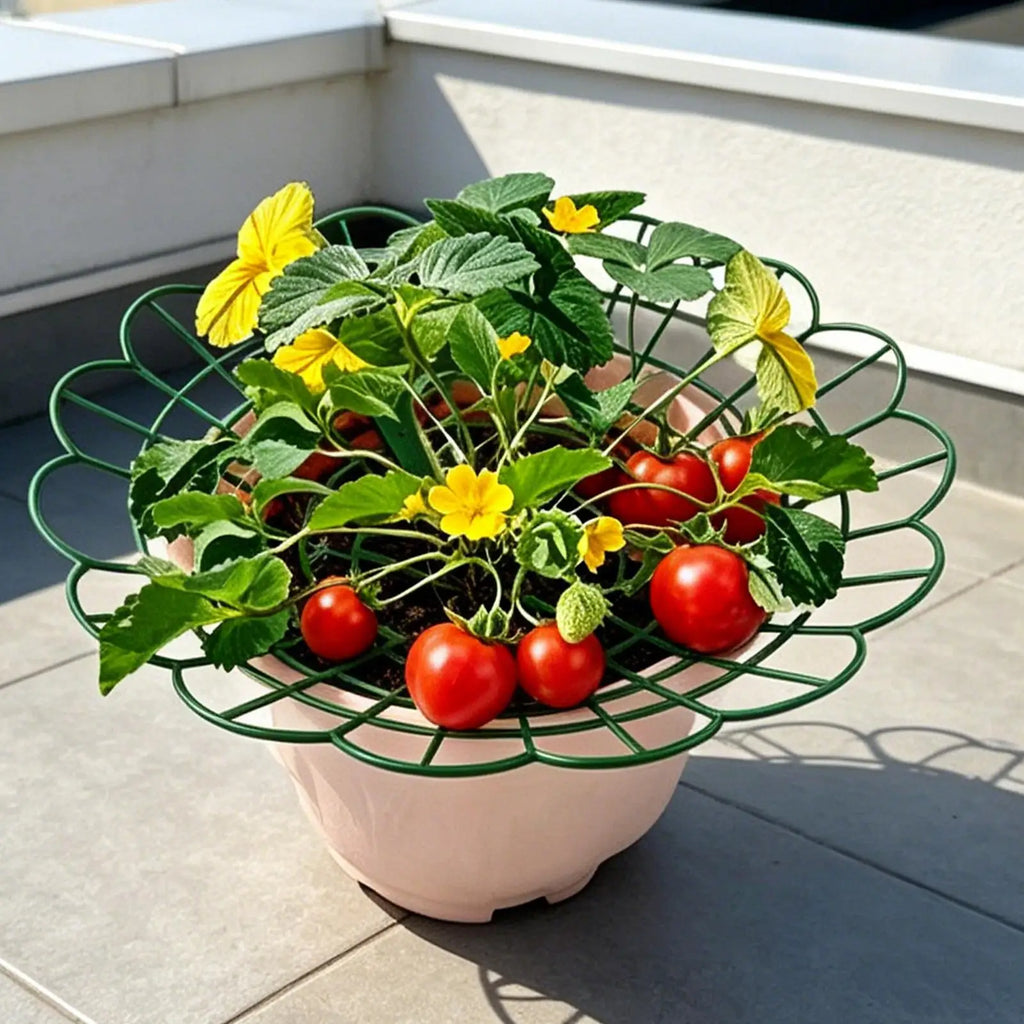 Strawberry Plant Support Frame – Potted Growing Rack Plant Support Frame Axl Green