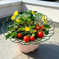 Strawberry Plant Support Frame – Potted Growing Rack Plant Support Frame Axl Green