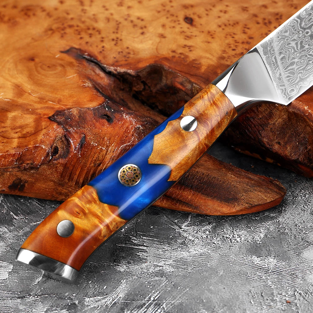 XITUO 3.5" Damascus Steel Paring Knife – Sharp Full Tang Paring Knife Axl