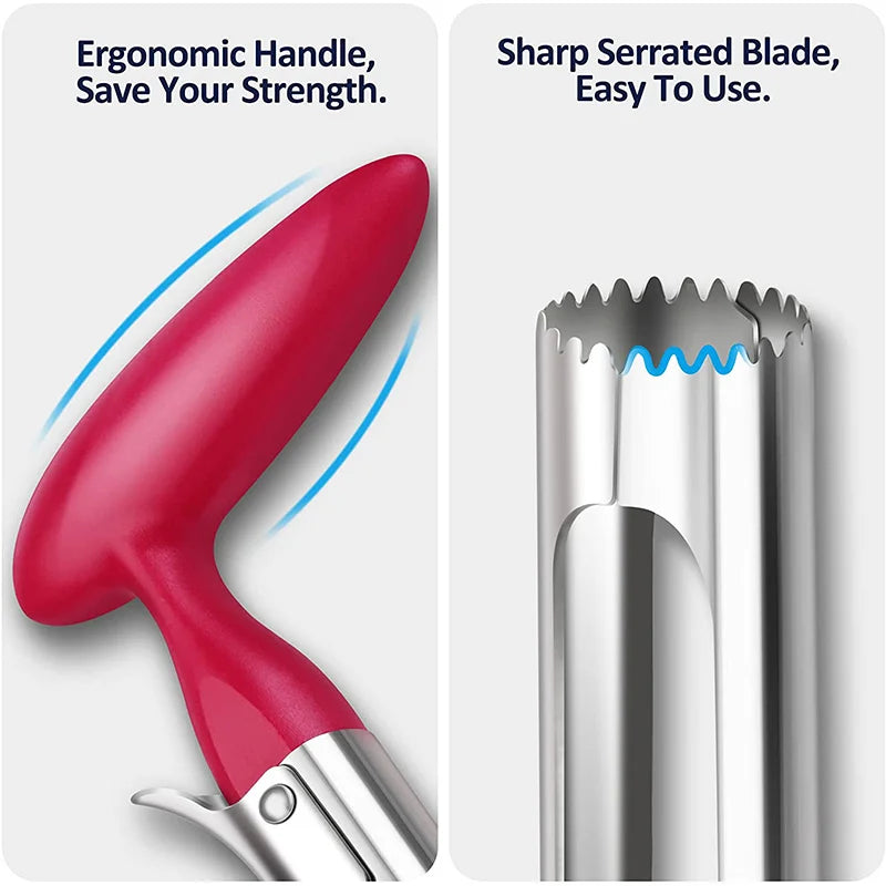 PGY Stainless Steel Apple Corer & Pear Core Remover Tool Fruit Corer Tool Axl